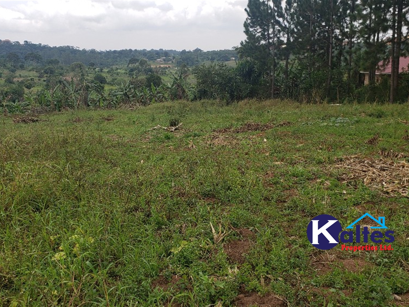 Residential Land for sale in Kikandwa Mukono