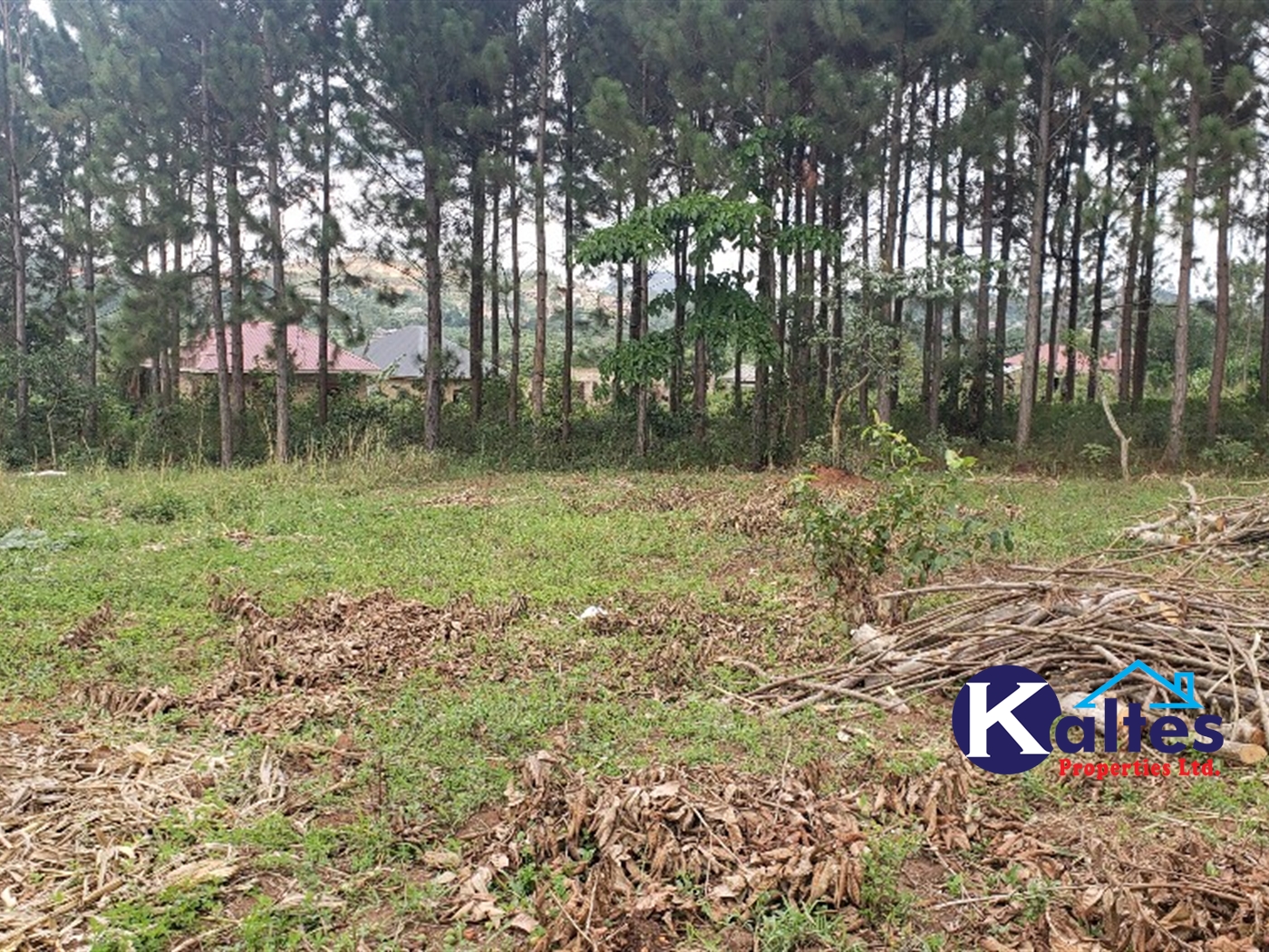 Residential Land for sale in Kikandwa Mukono