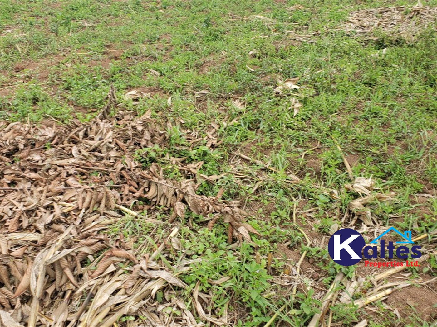 Residential Land for sale in Kikandwa Mukono