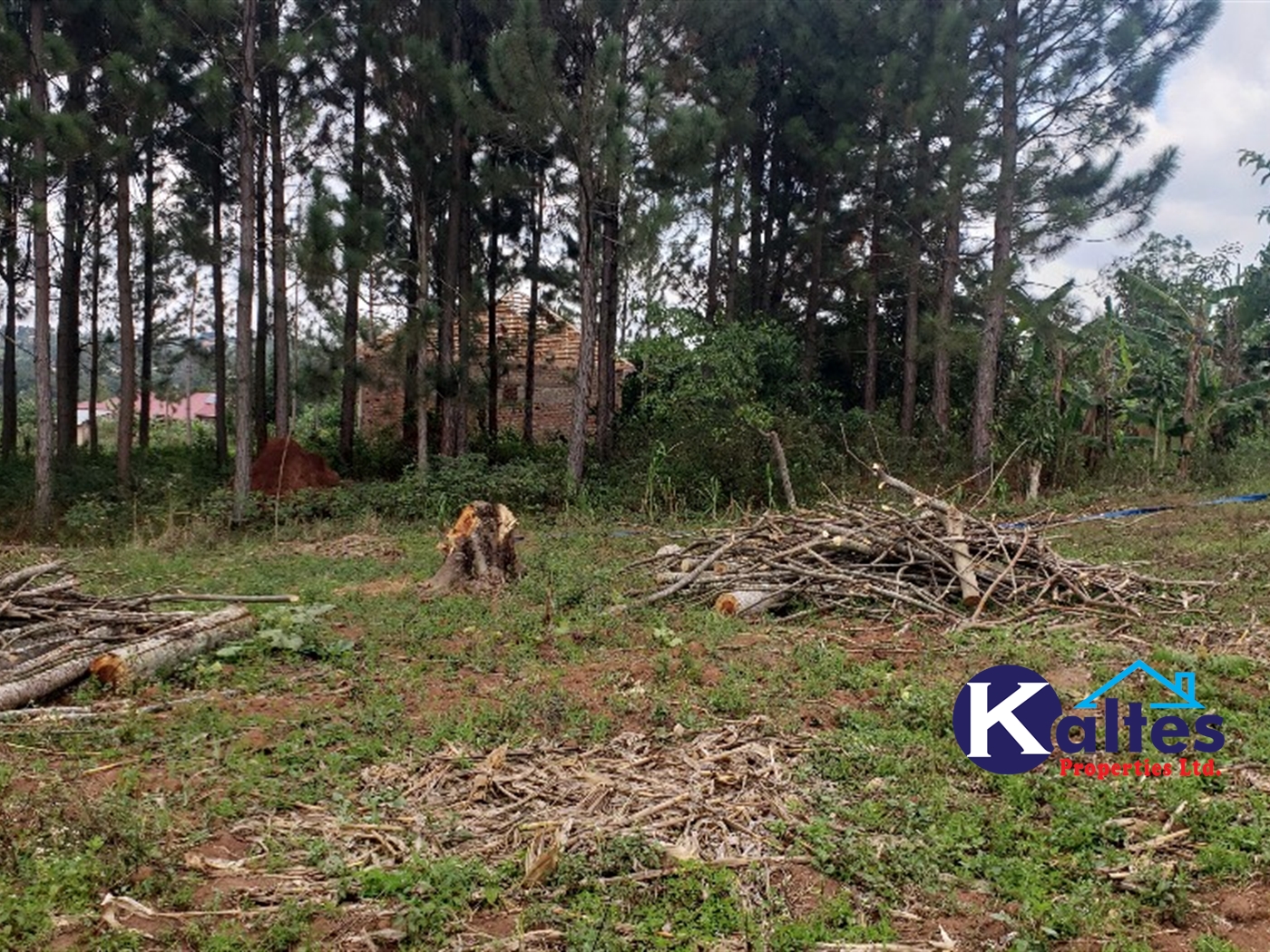 Residential Land for sale in Kikandwa Mukono