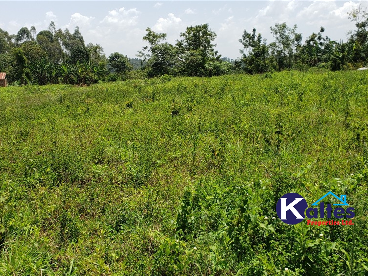 Residential Land for sale in Kikandwa Mukono