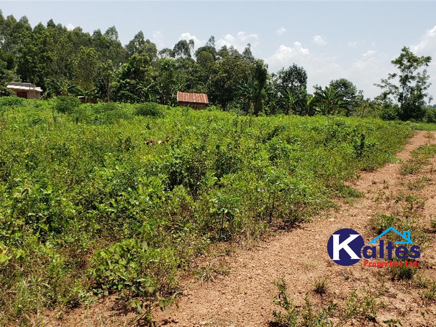 Residential Land for sale in Kikandwa Mukono