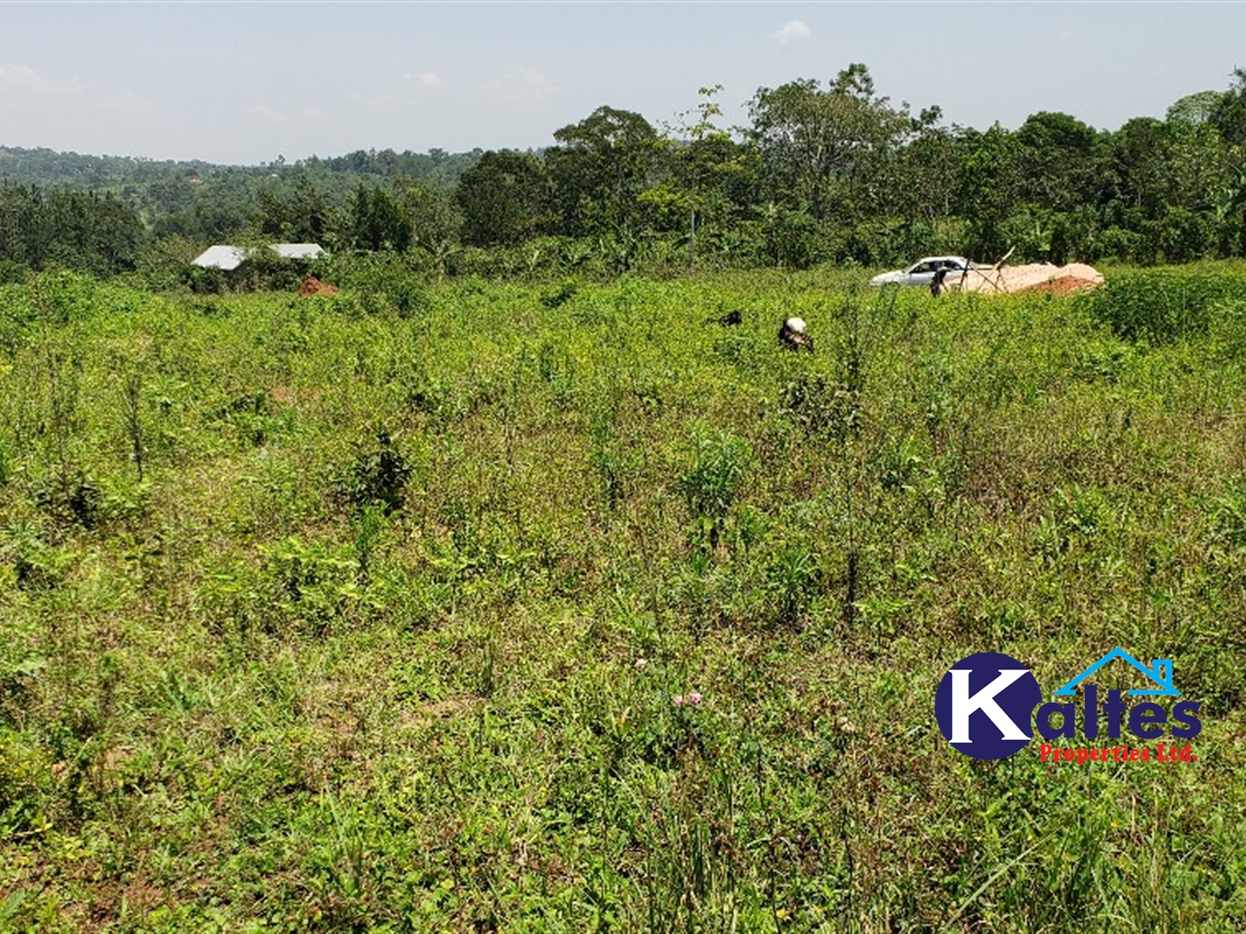 Residential Land for sale in Kikandwa Mukono