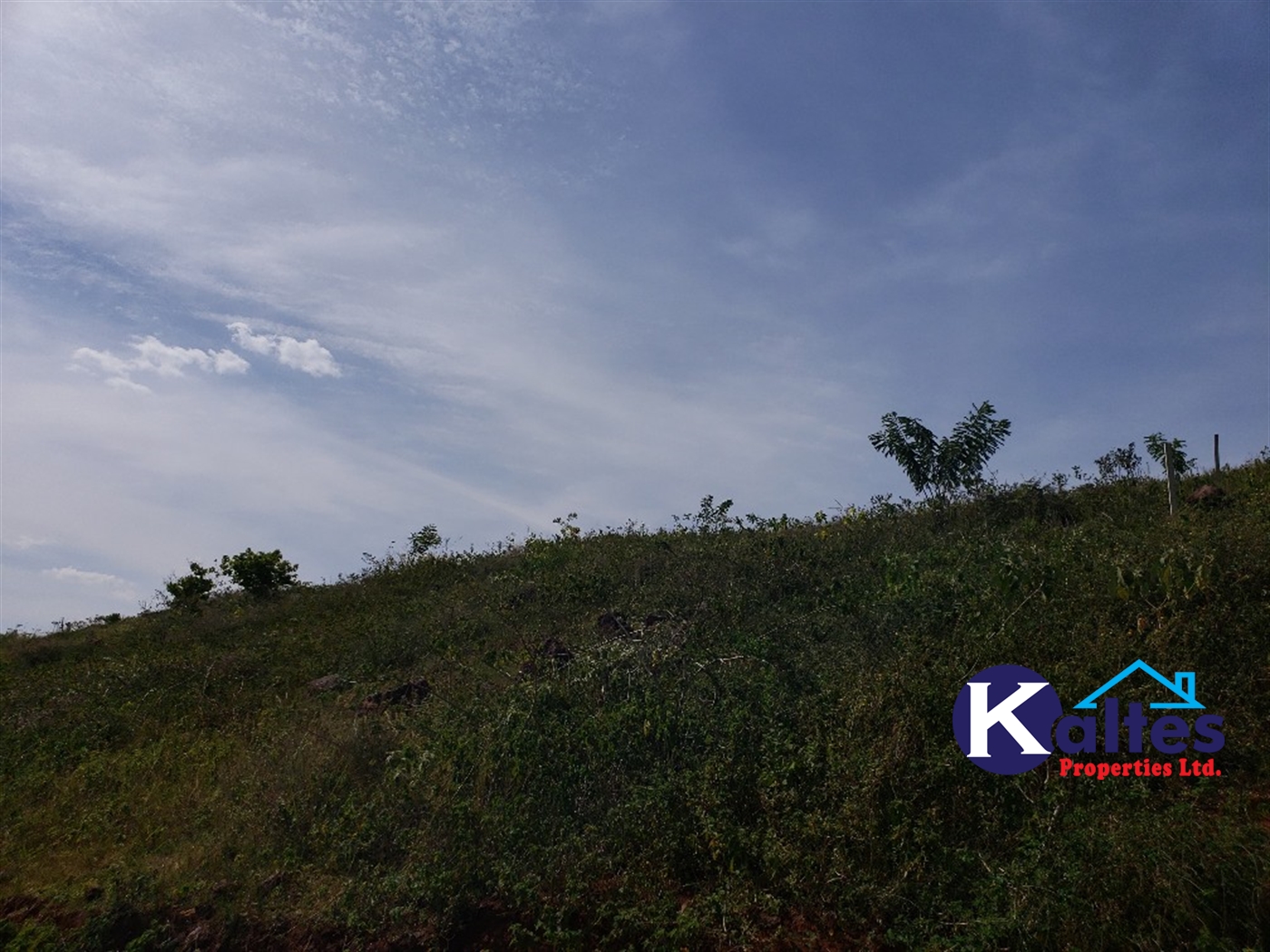 Agricultural Land for sale in Kalagala Buyikwe