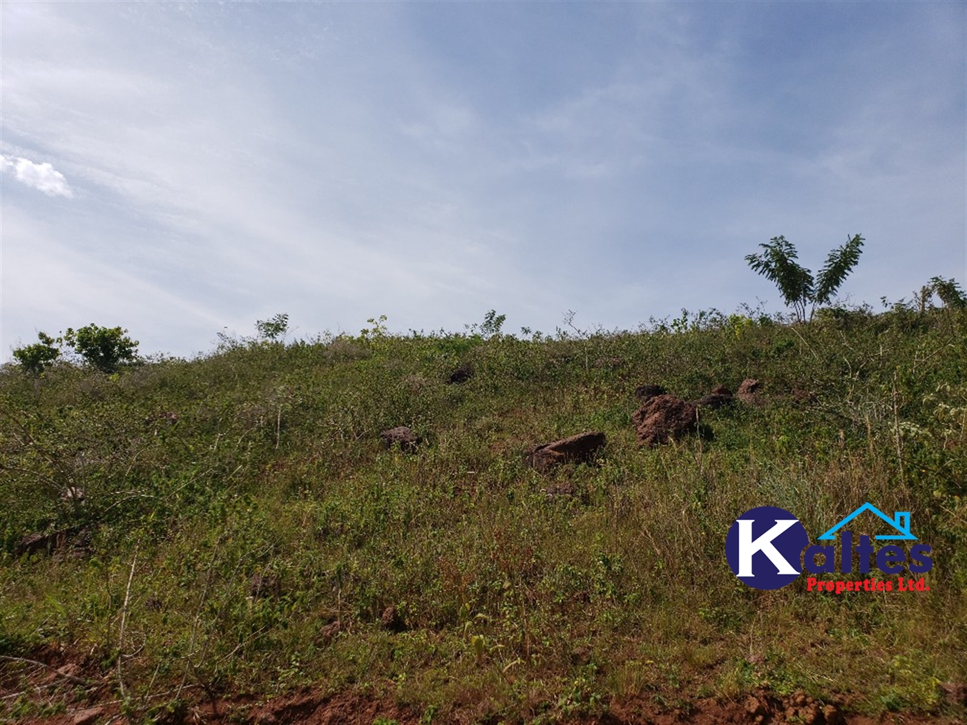 Agricultural Land for sale in Kalagala Buyikwe