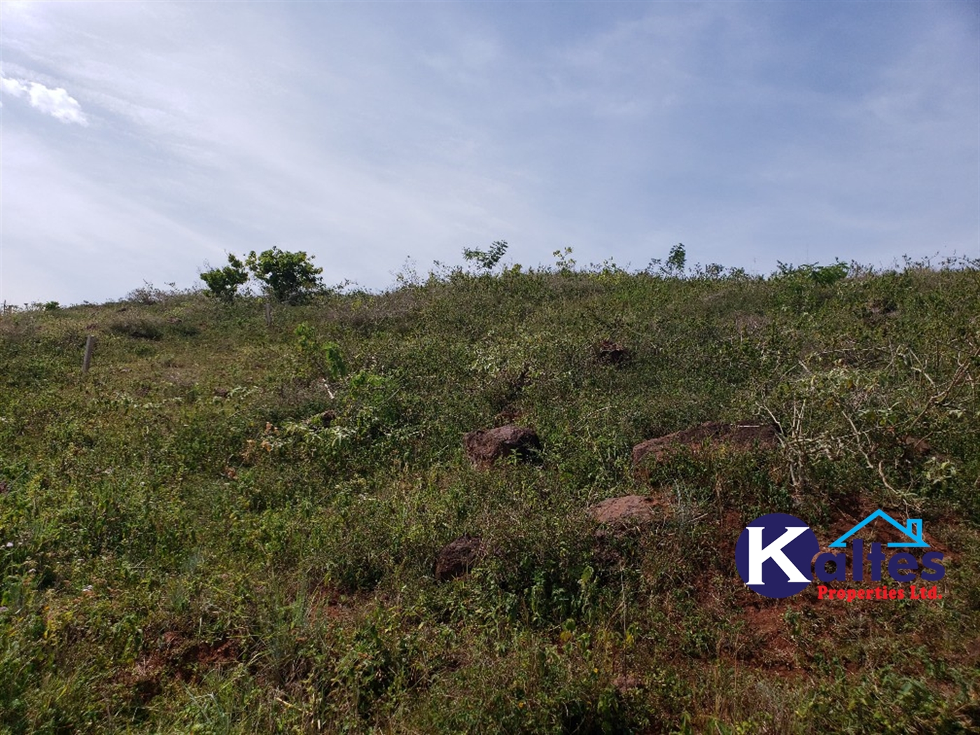 Agricultural Land for sale in Kalagala Buyikwe