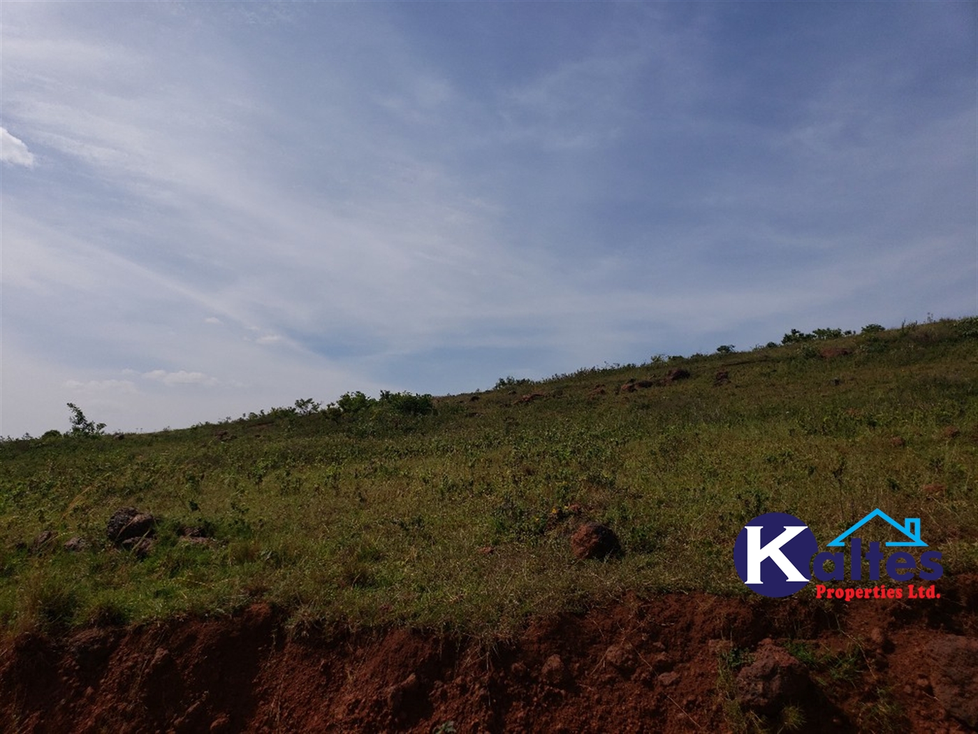 Agricultural Land for sale in Kalagala Buyikwe