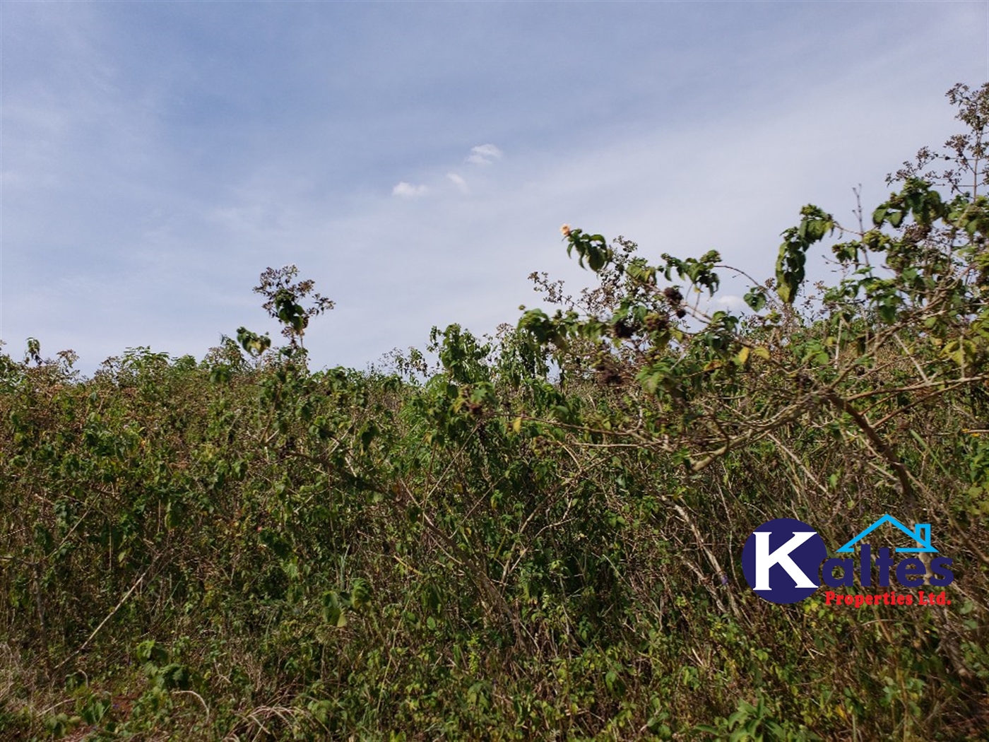 Agricultural Land for sale in Kalagala Buyikwe