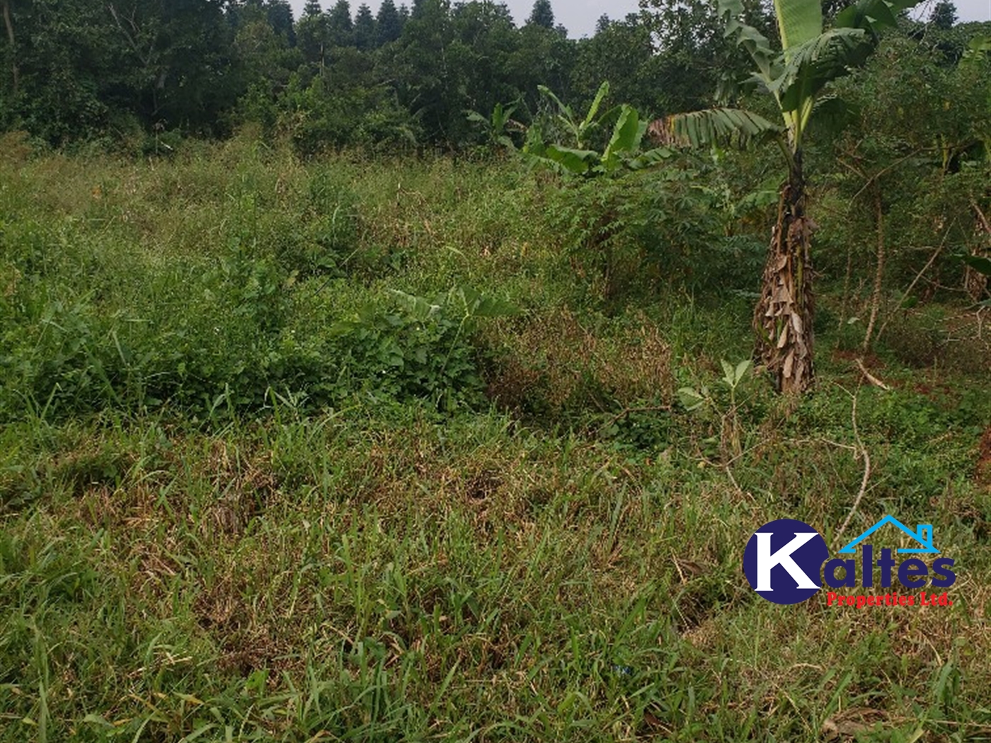 Agricultural Land for sale in Kalagala Buyikwe