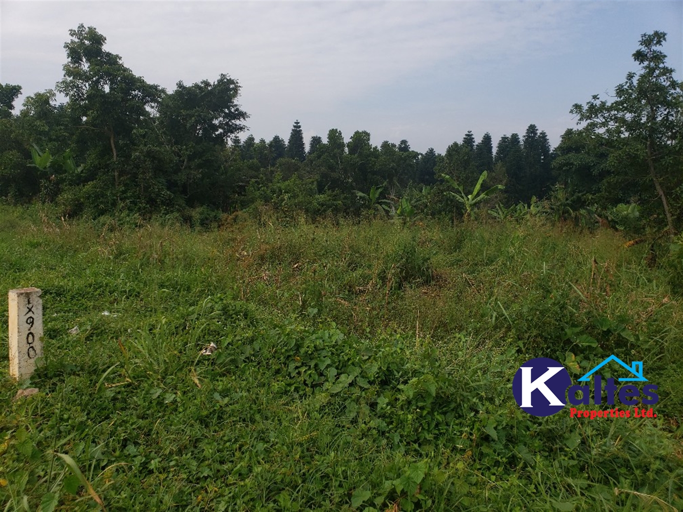 Agricultural Land for sale in Kalagala Buyikwe