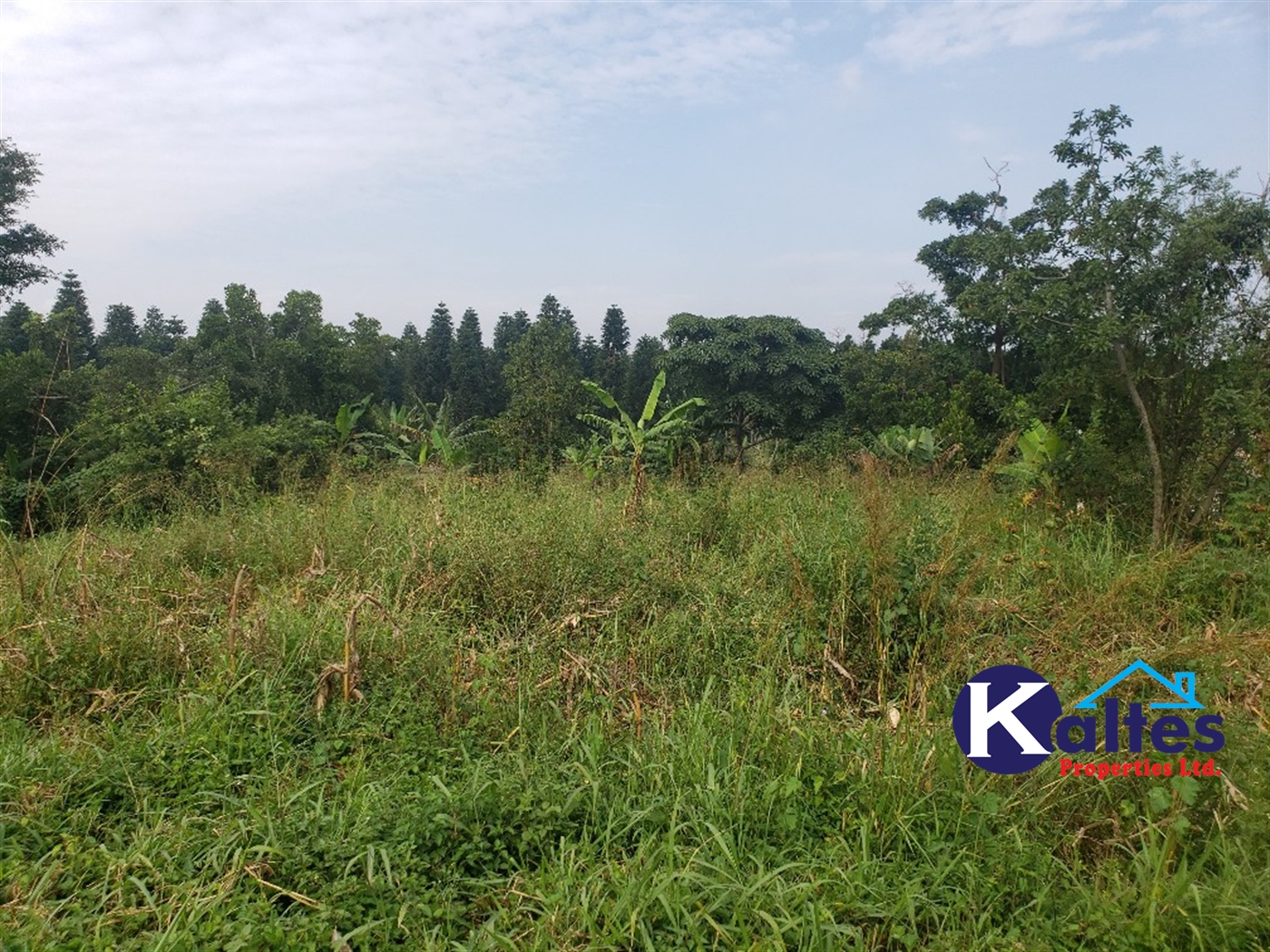 Agricultural Land for sale in Kalagala Buyikwe