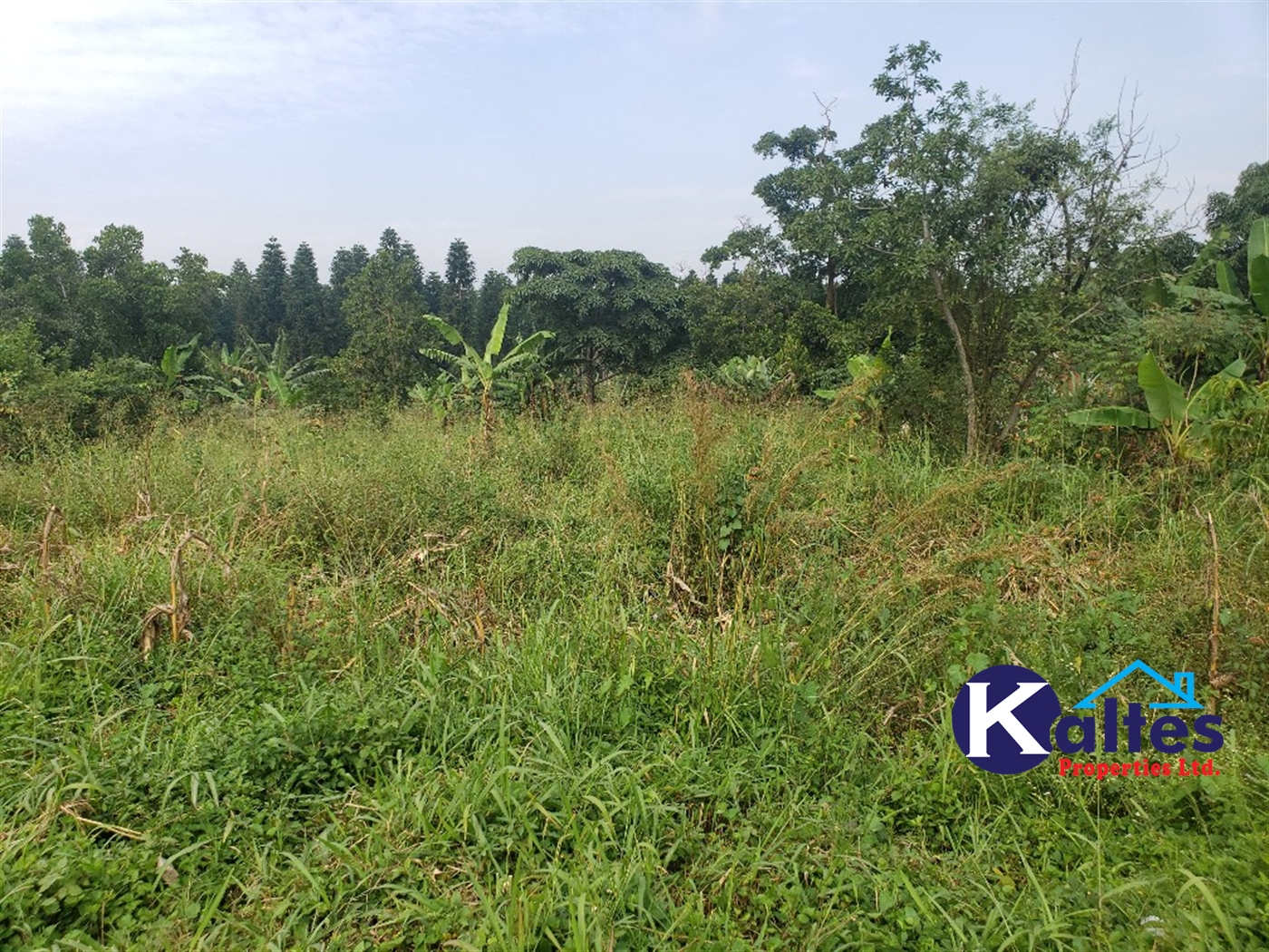 Agricultural Land for sale in Kalagala Buyikwe