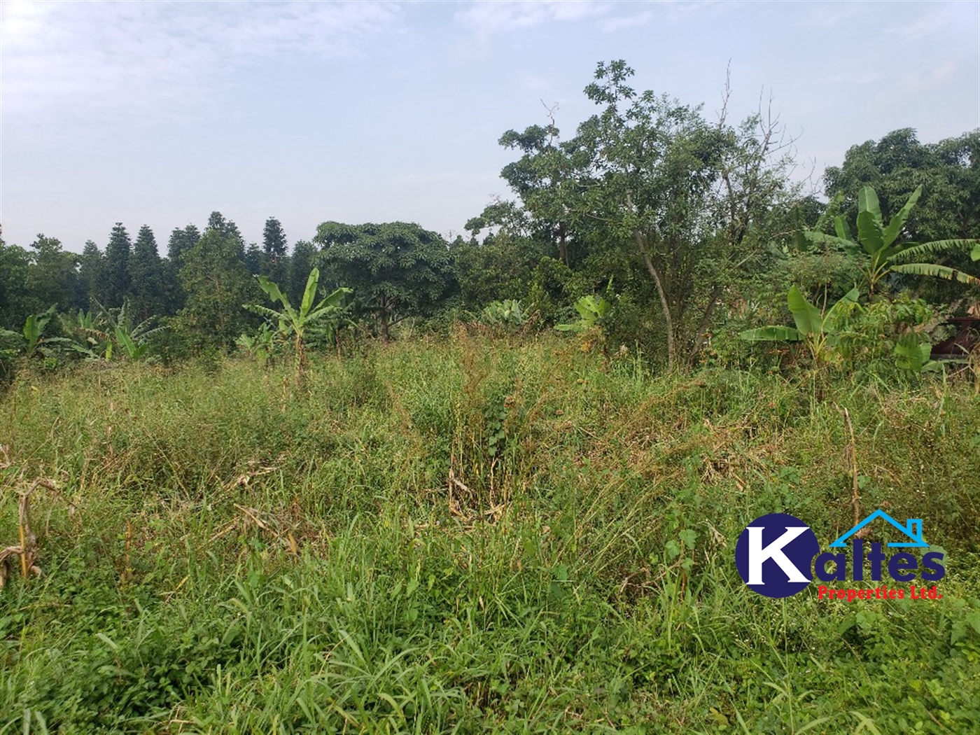 Agricultural Land for sale in Kalagala Buyikwe