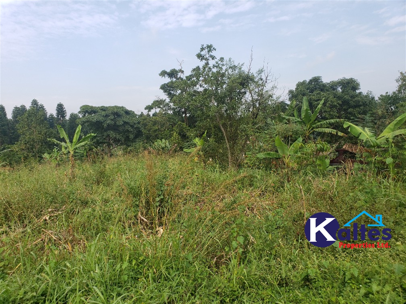 Agricultural Land for sale in Kalagala Buyikwe