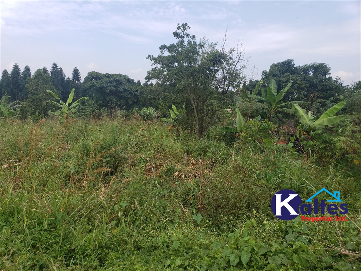 Agricultural Land for sale in Kalagala Buyikwe