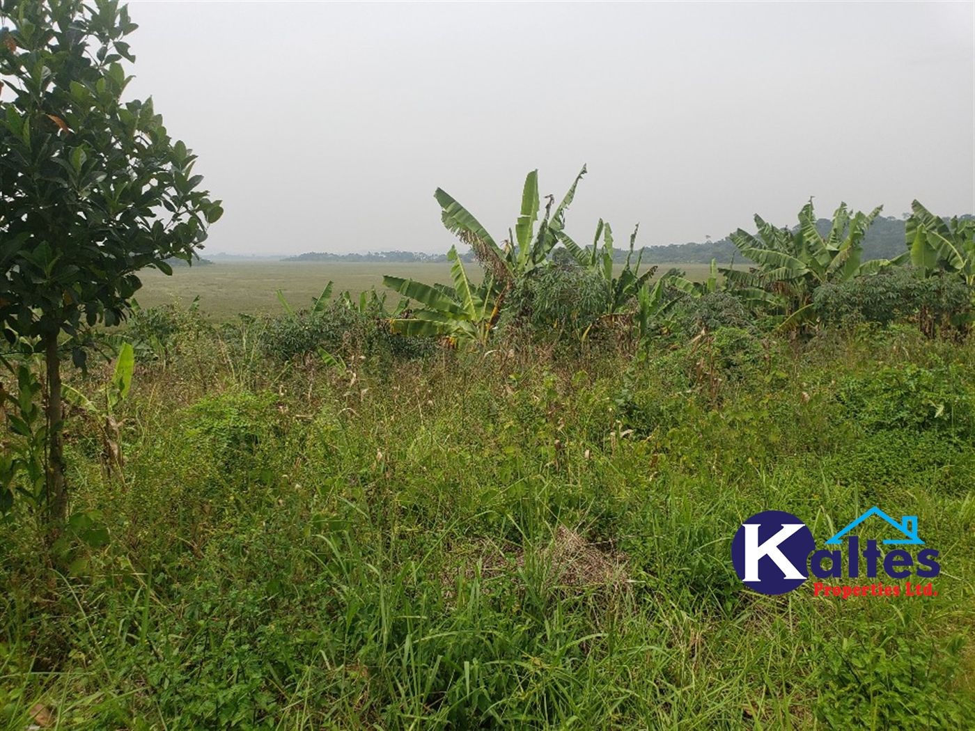 Agricultural Land for sale in Kizigo Buyikwe