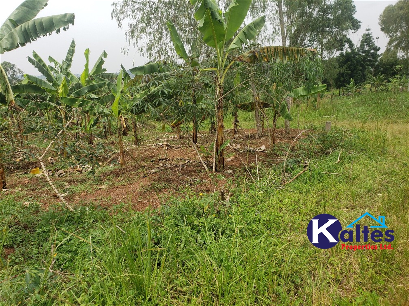 Agricultural Land for sale in Kizigo Buyikwe