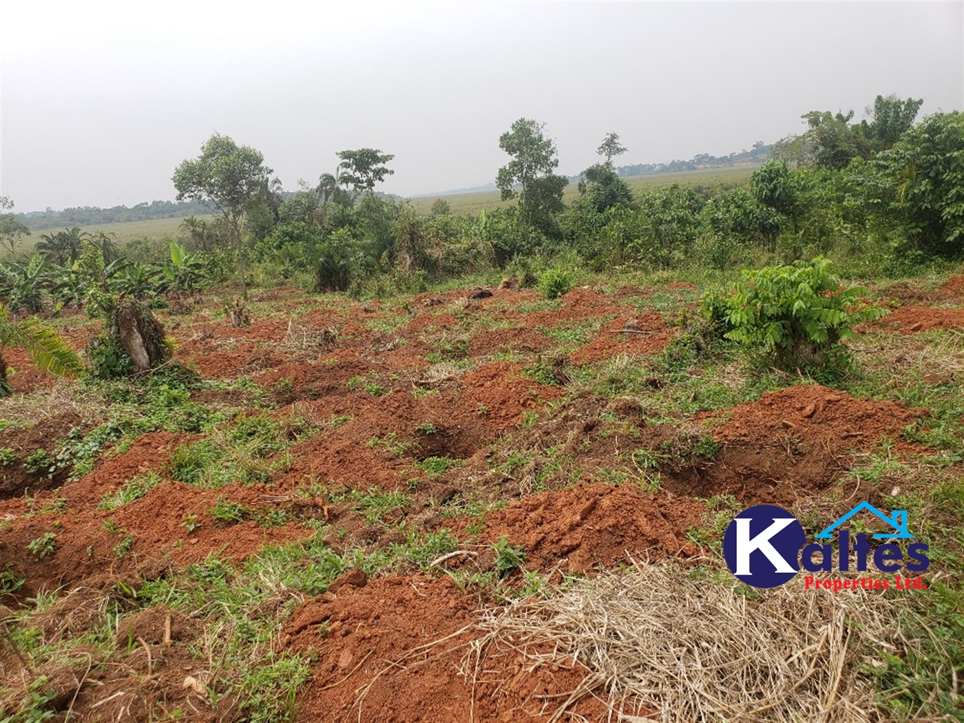 Agricultural Land for sale in Koba Buyikwe