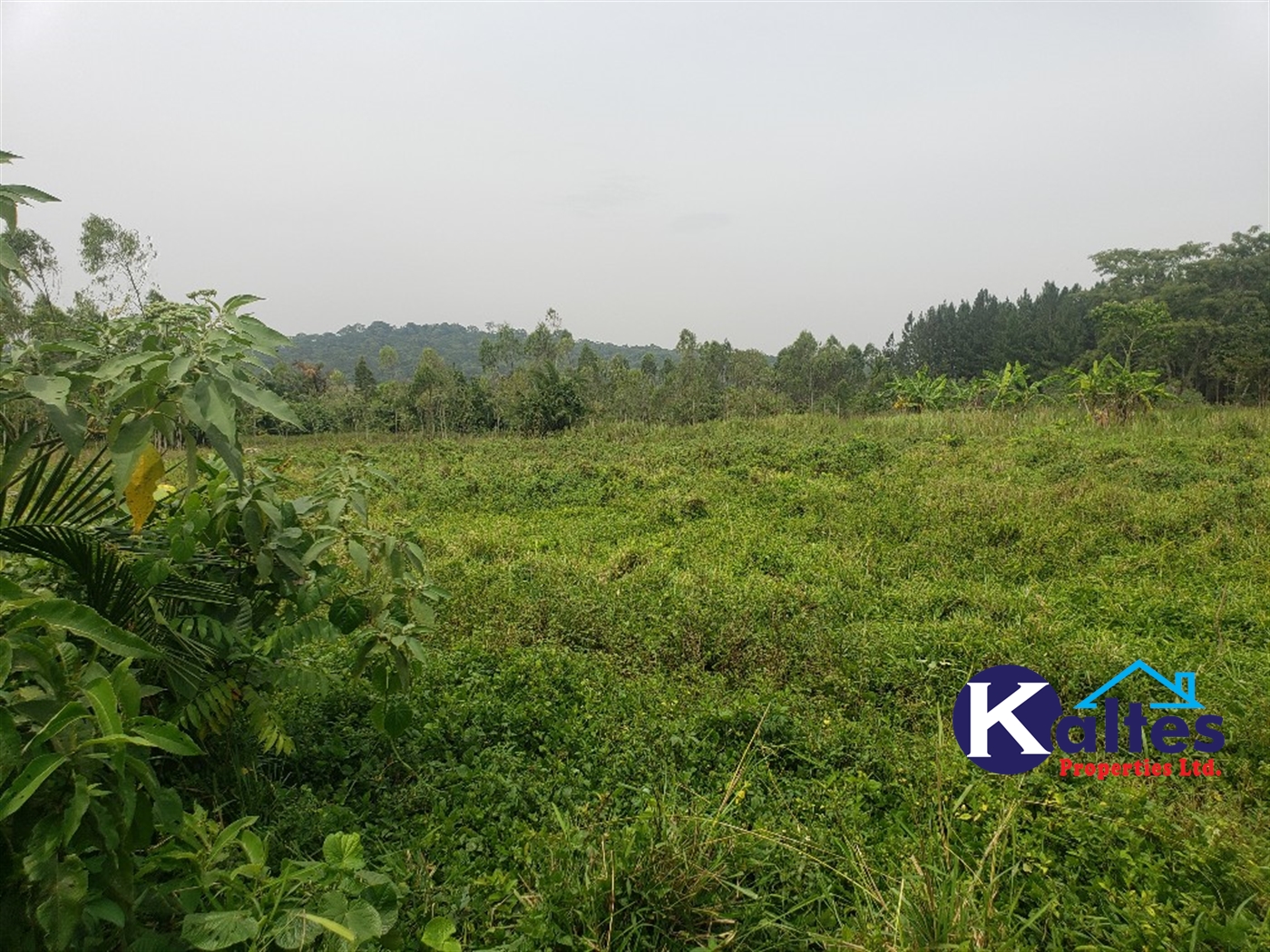 Agricultural Land for sale in Nsenya Buyikwe