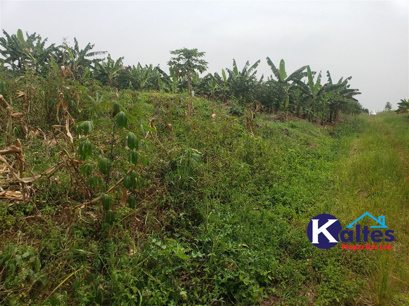 Agricultural Land for sale in Kimoni Buyikwe