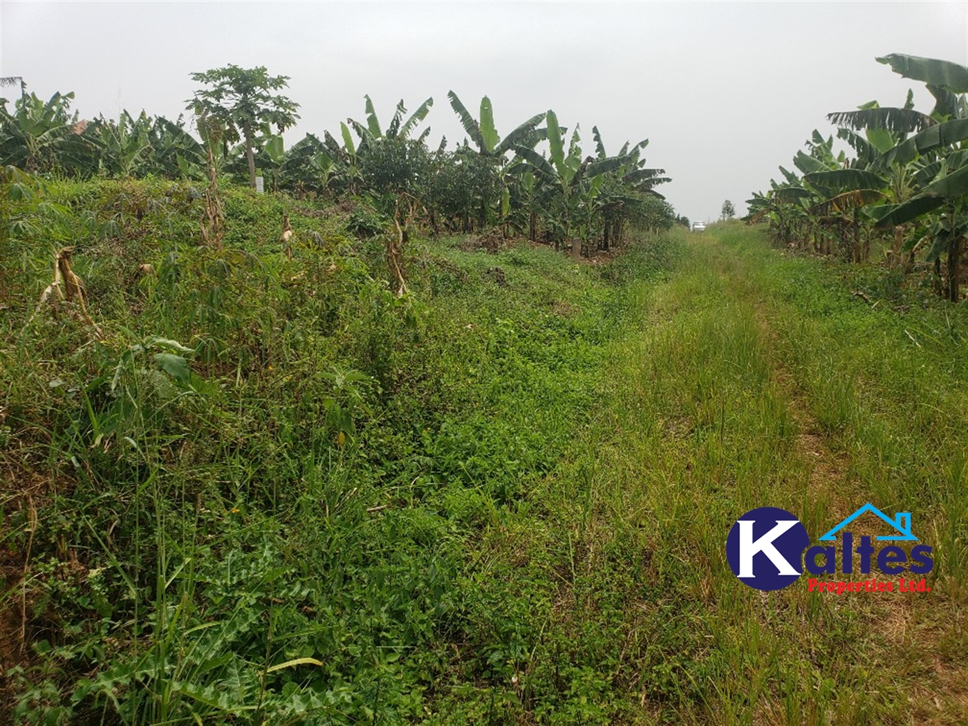 Agricultural Land for sale in Kimoni Buyikwe