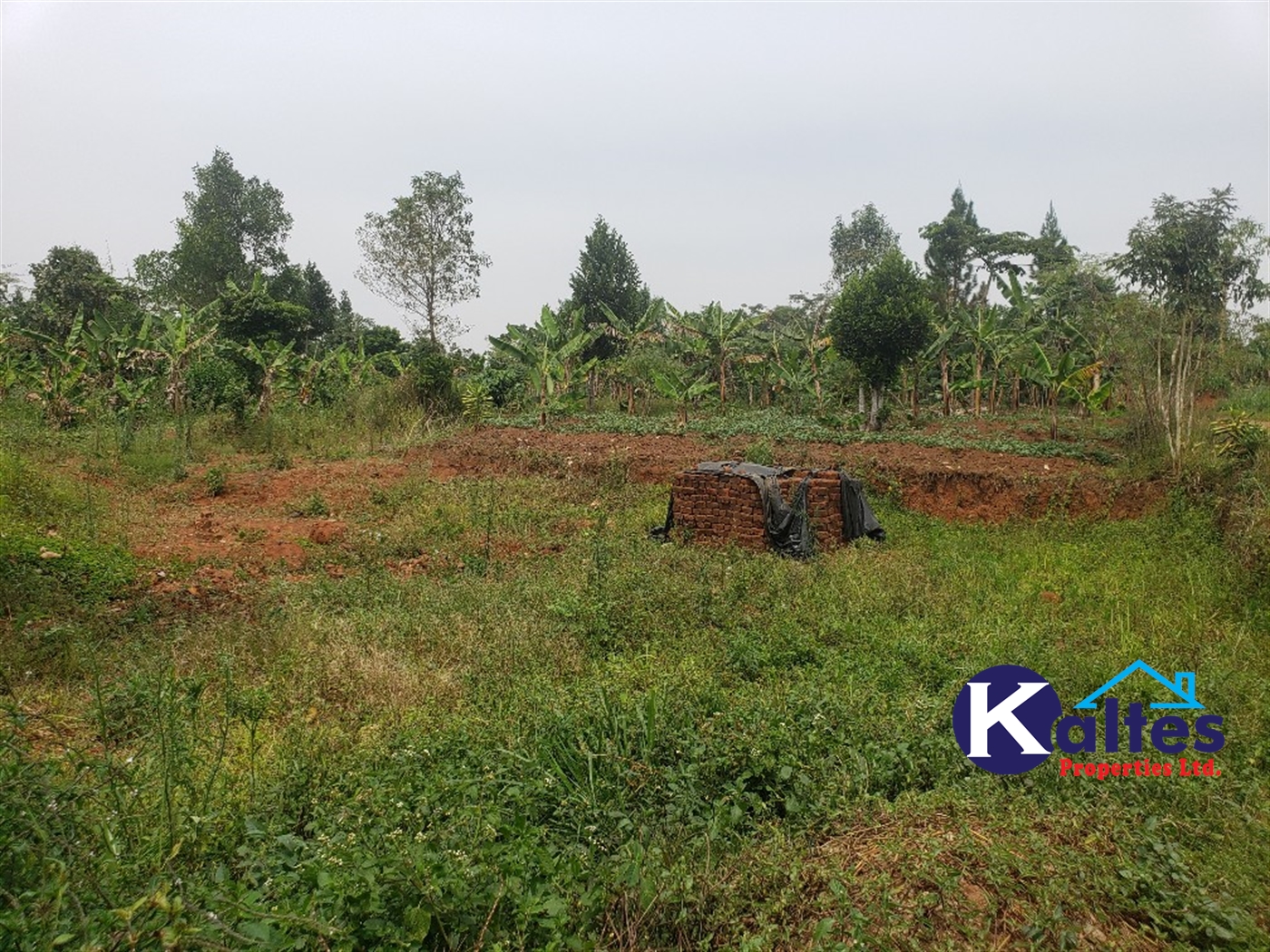 Agricultural Land for sale in Kimoni Buyikwe