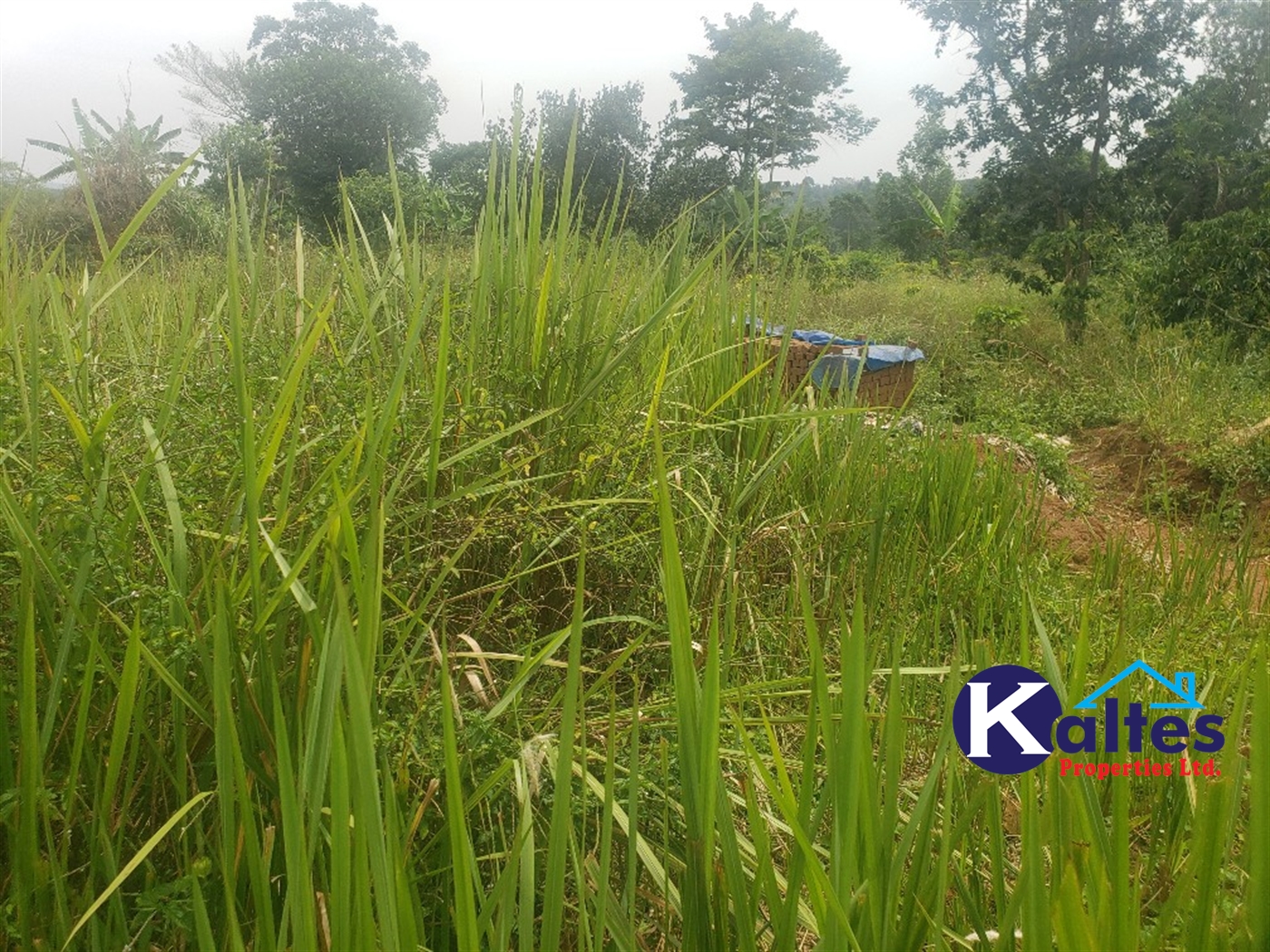 Agricultural Land for sale in Kimoni Buyikwe