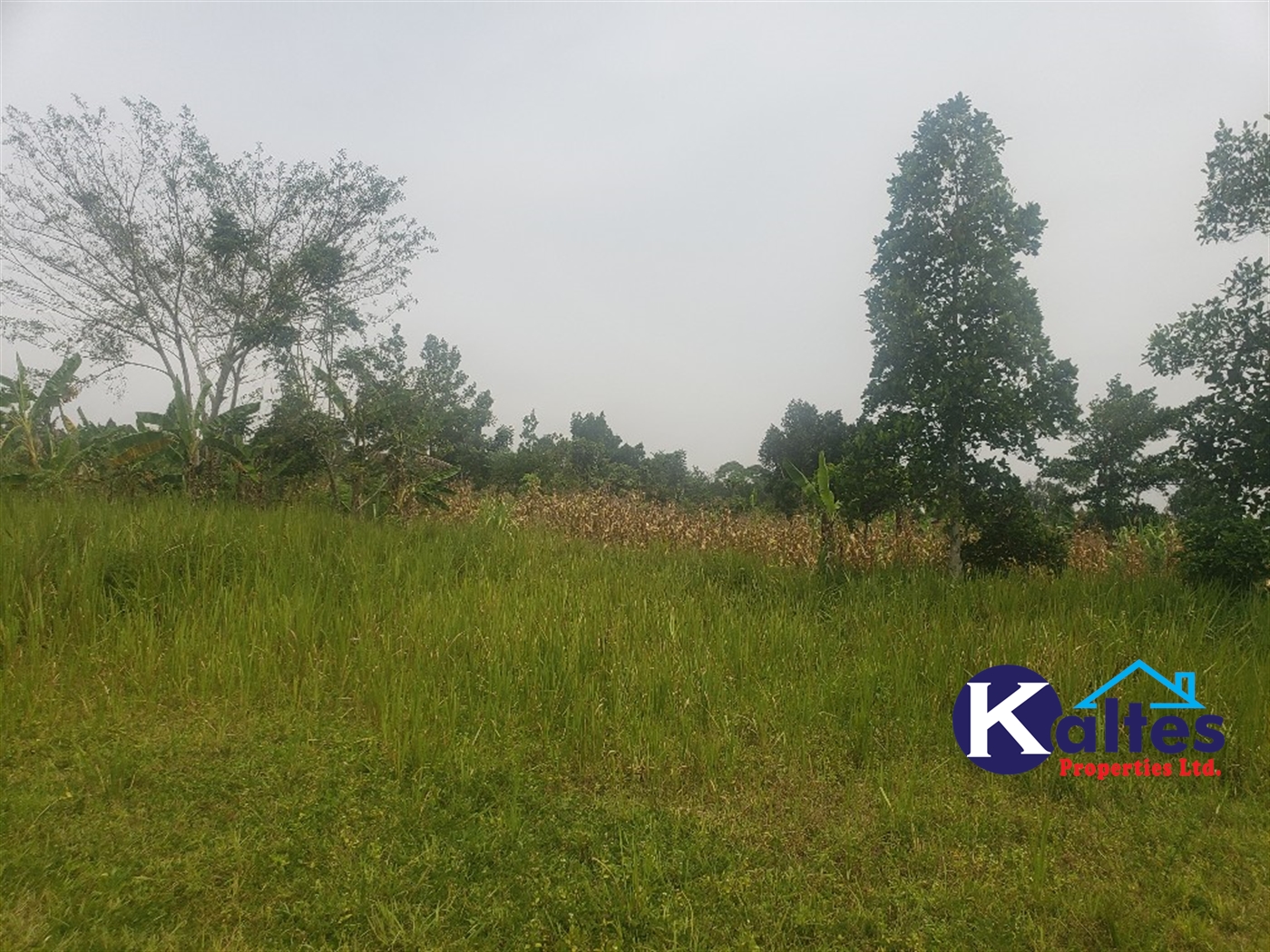 Agricultural Land for sale in Kimoni Buyikwe