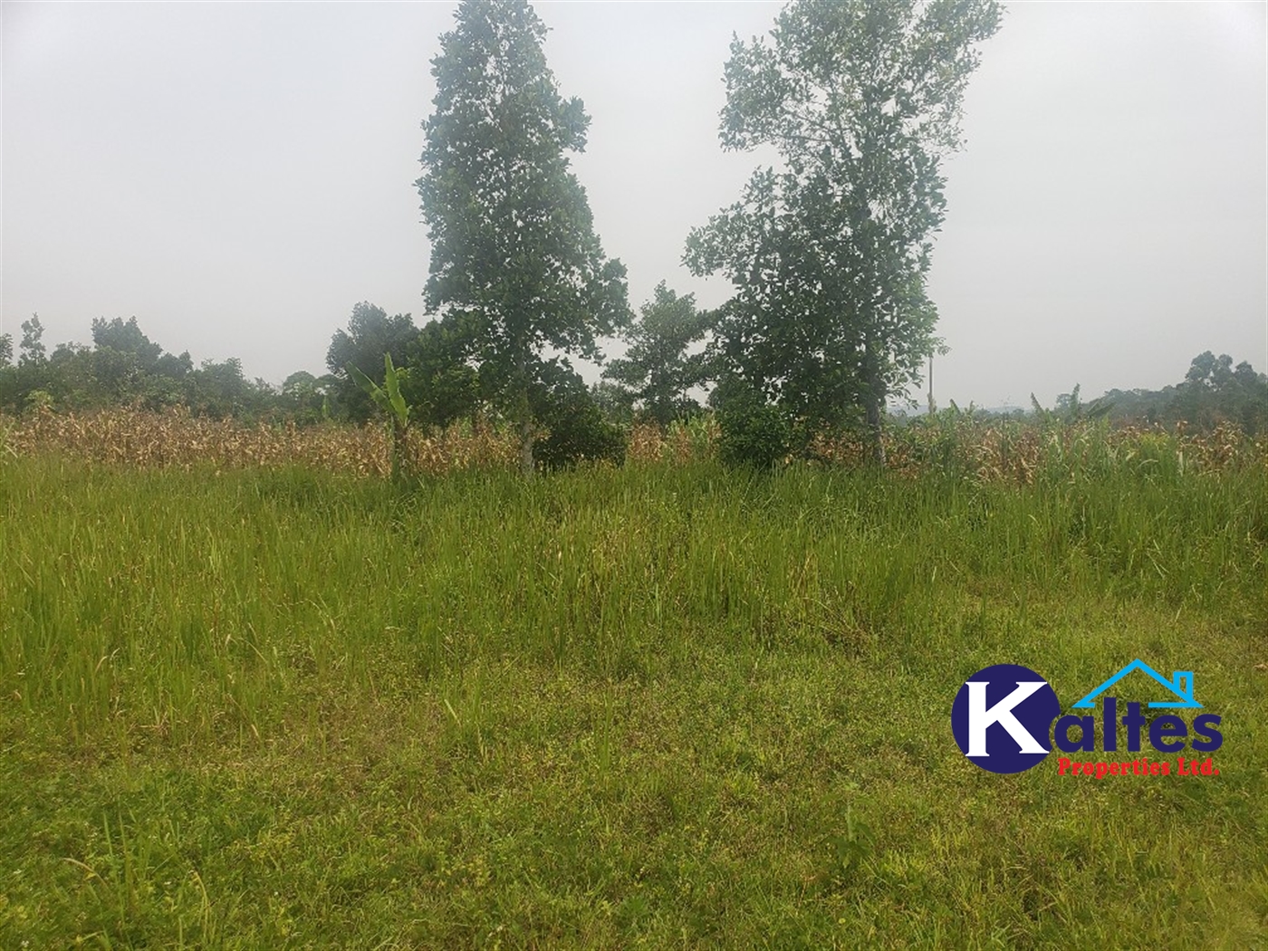 Agricultural Land for sale in Kimoni Buyikwe