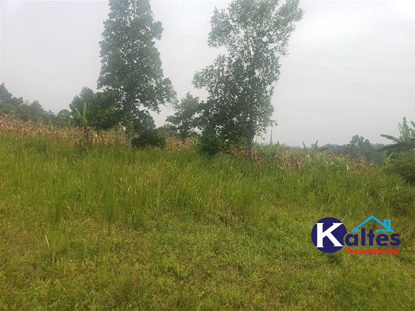 Agricultural Land for sale in Kimoni Buyikwe