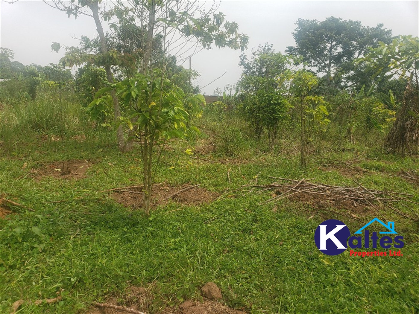 Agricultural Land for sale in Nsonga Buyikwe