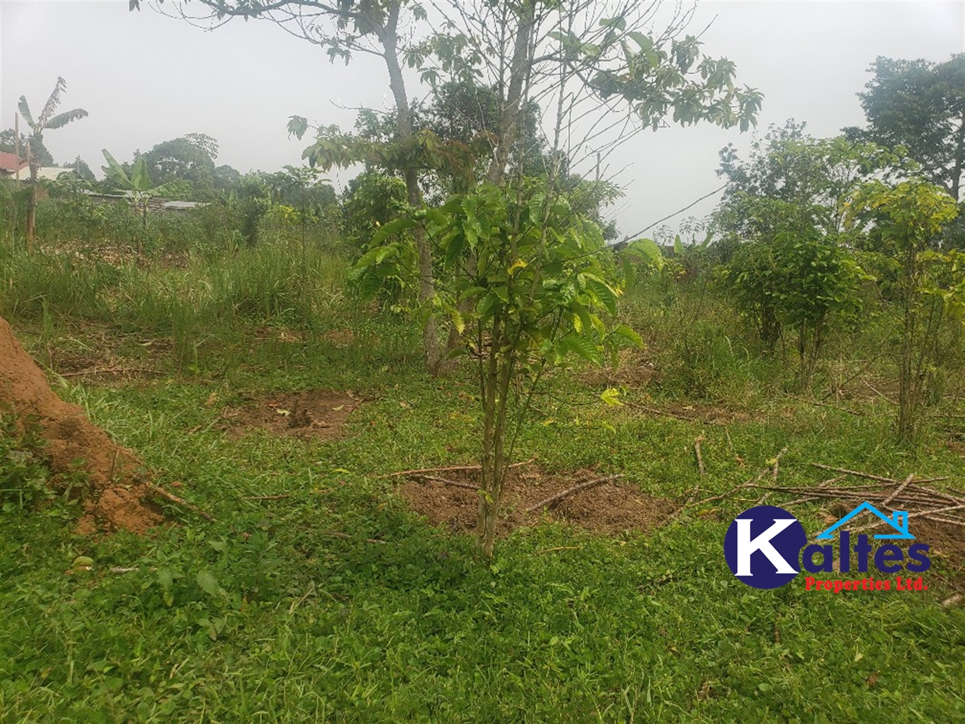 Agricultural Land for sale in Nsonga Buyikwe