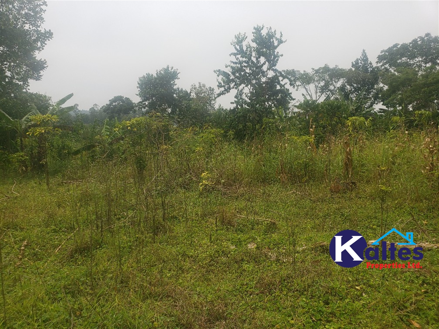 Agricultural Land for sale in Nsonga Buyikwe