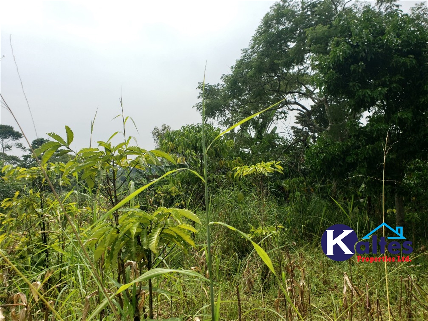 Agricultural Land for sale in Nsonga Buyikwe