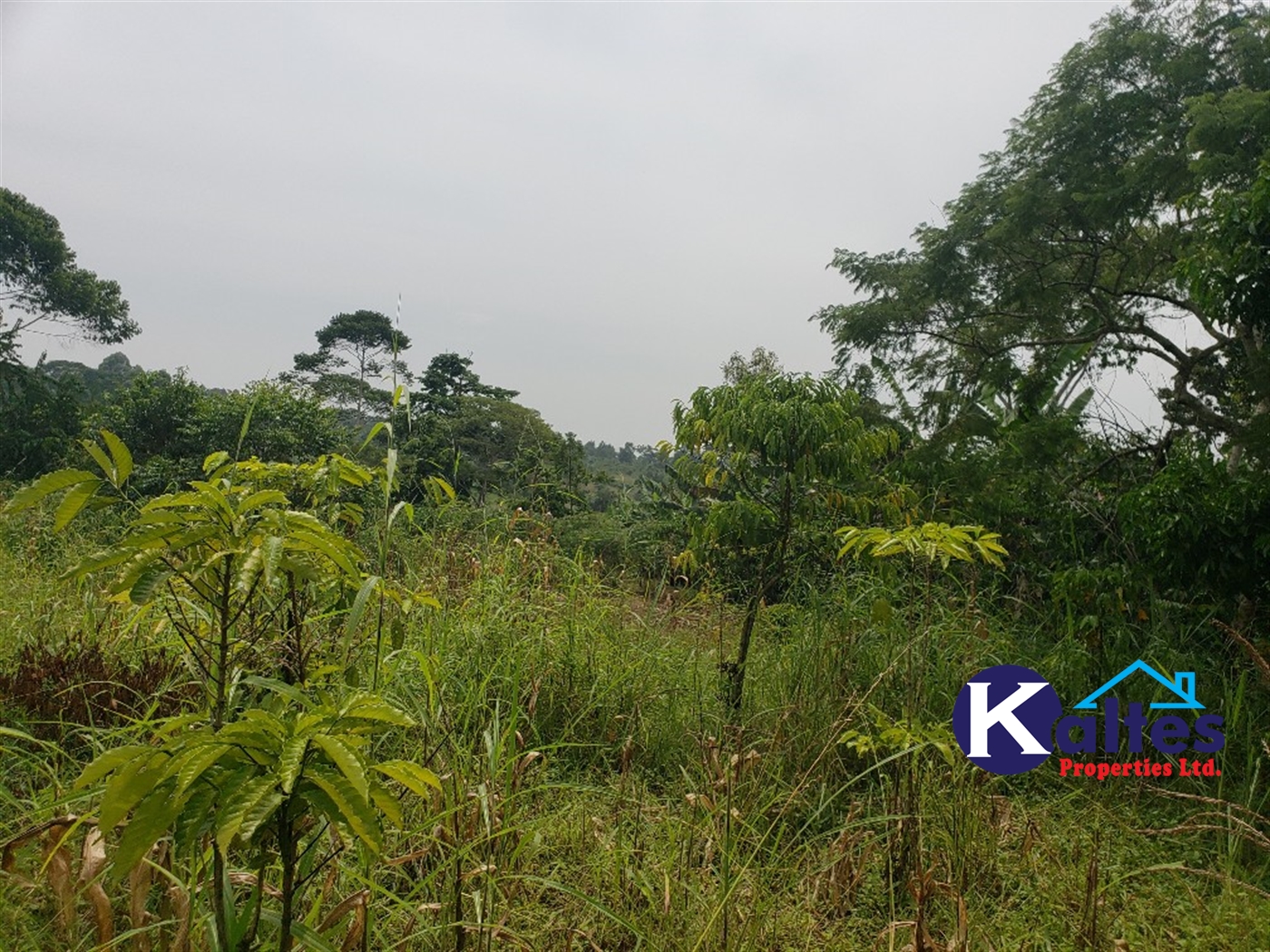 Agricultural Land for sale in Nsonga Buyikwe