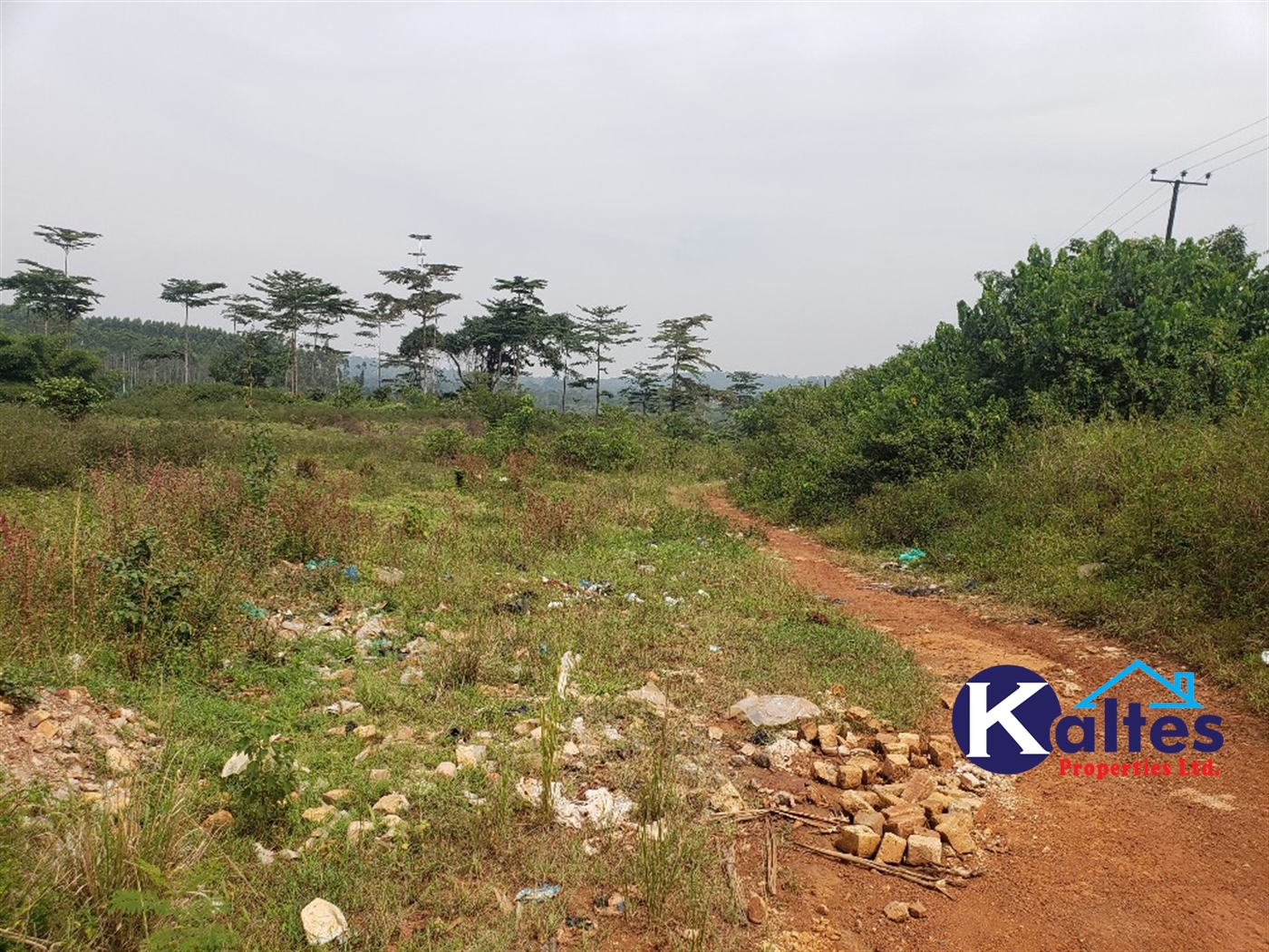 Agricultural Land for sale in Najumba Buyikwe