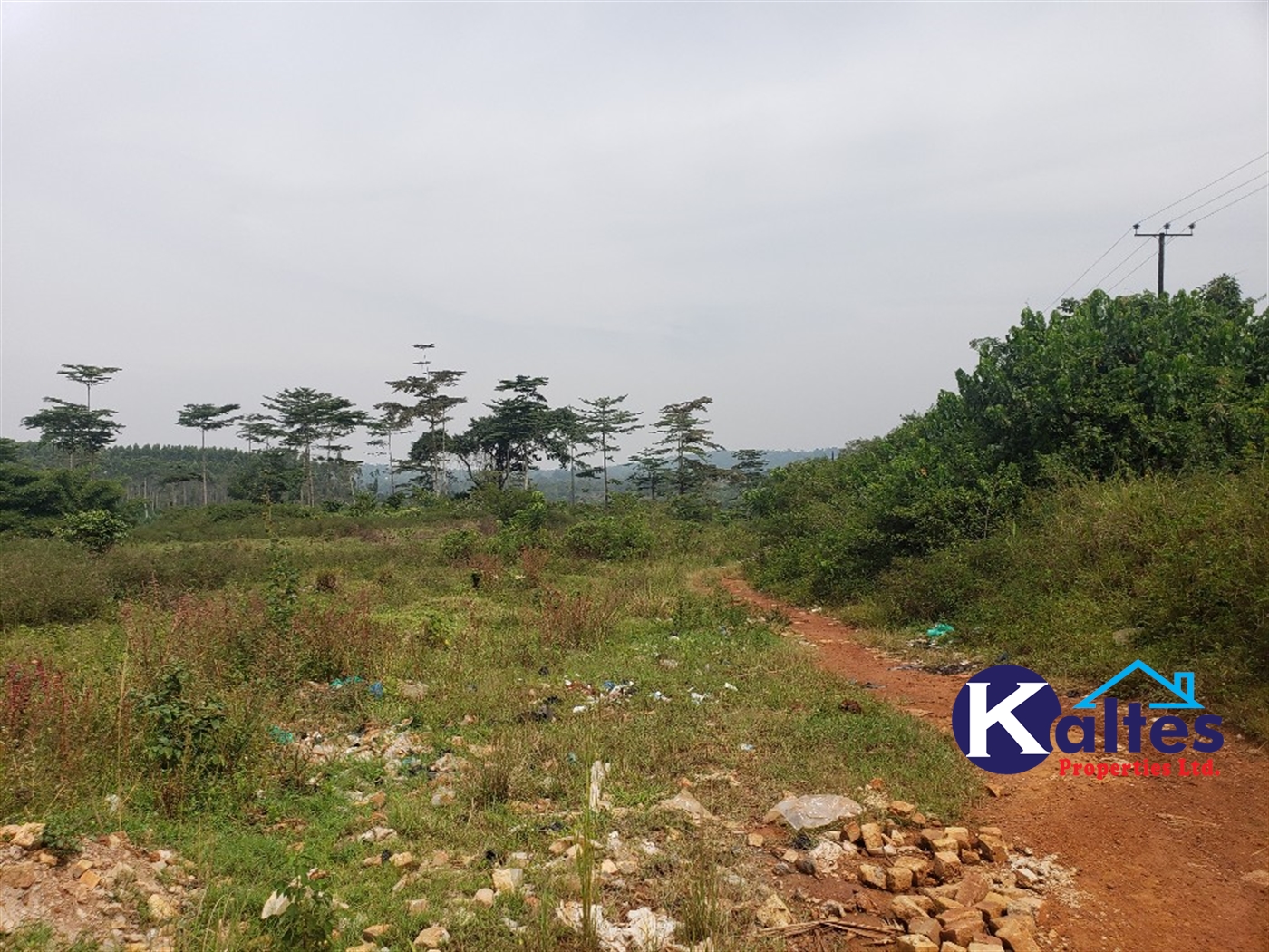 Agricultural Land for sale in Najumba Buyikwe