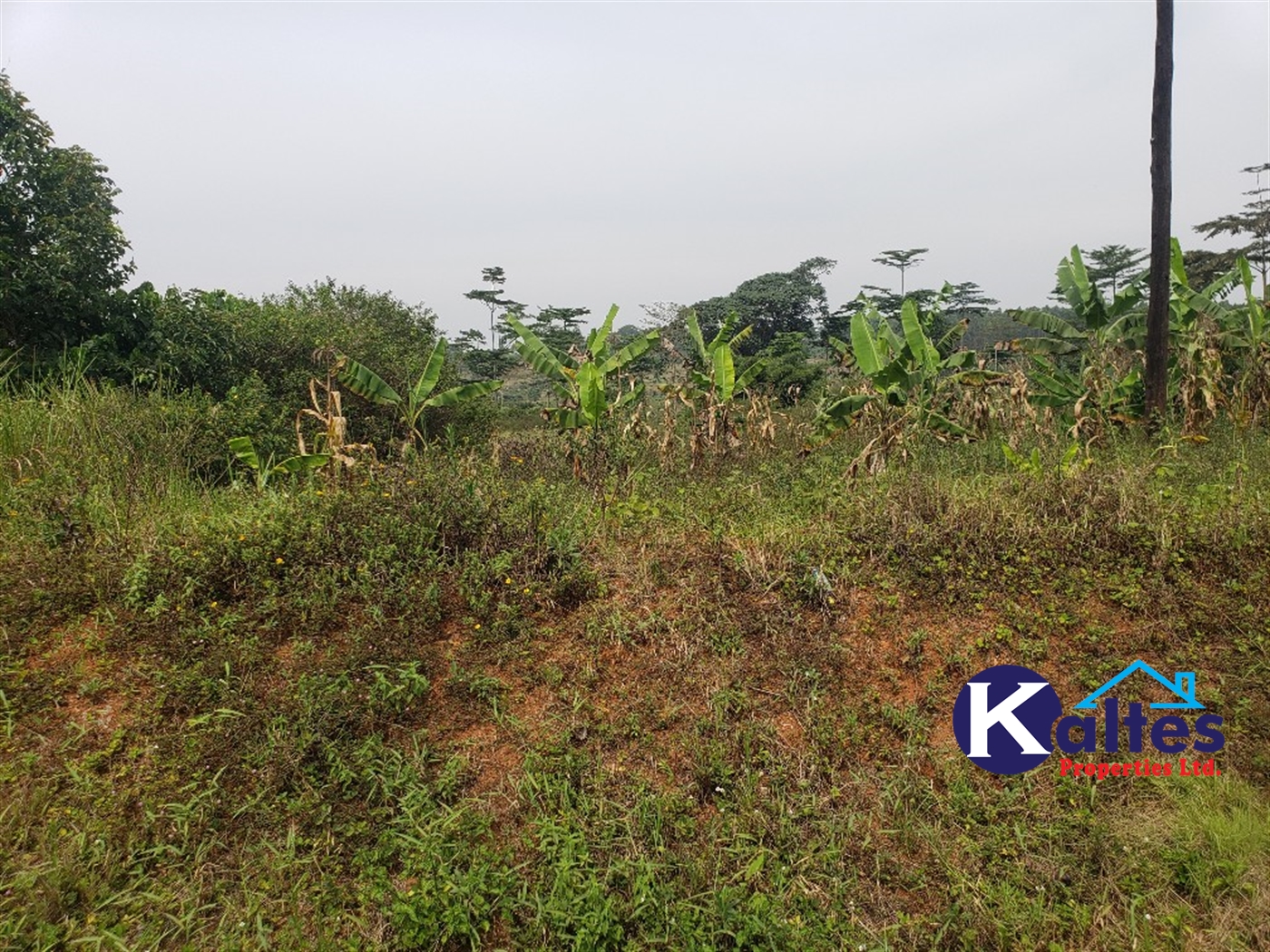 Agricultural Land for sale in Najumba Buyikwe