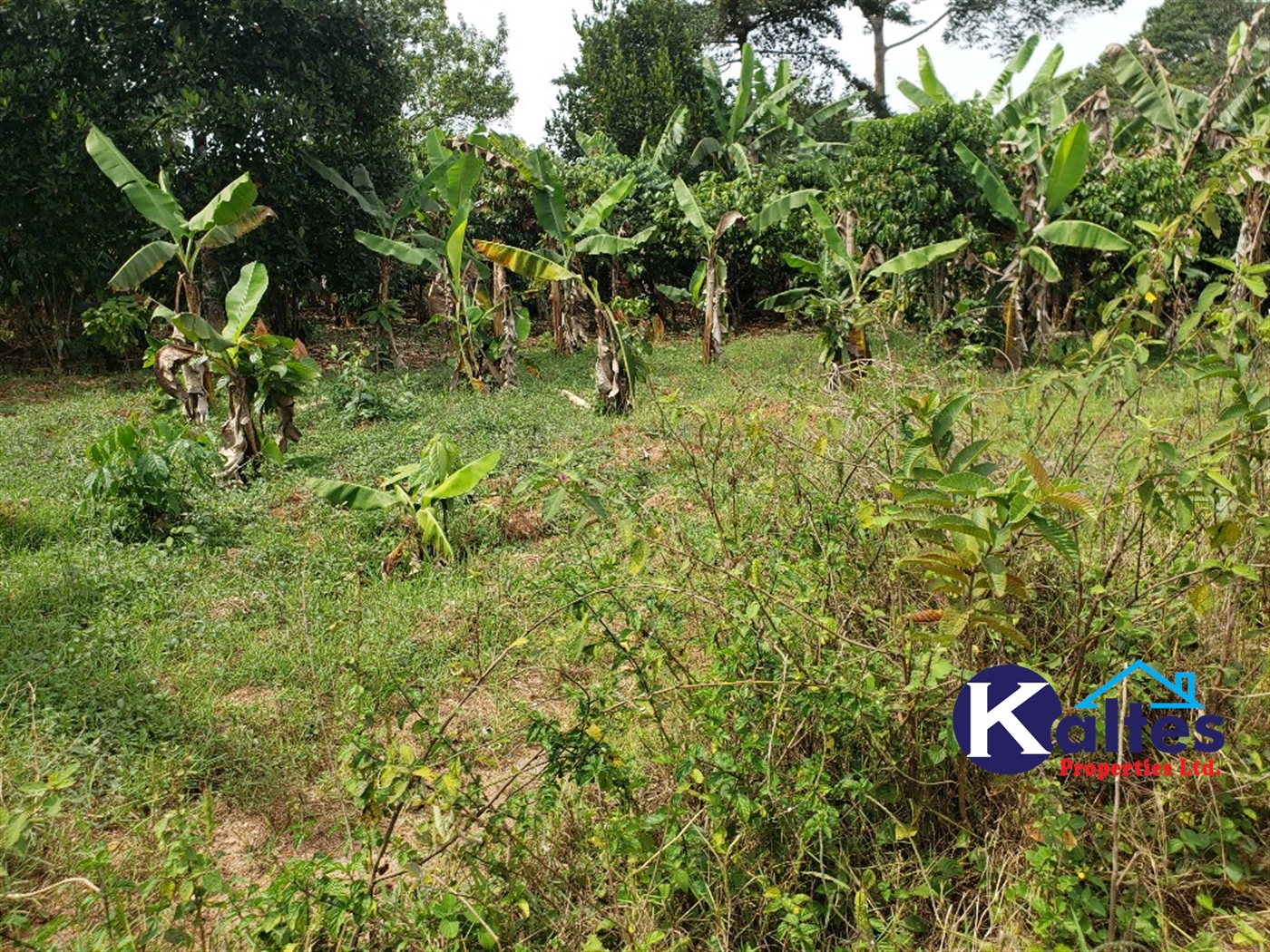 Agricultural Land for sale in Najumba Buyikwe