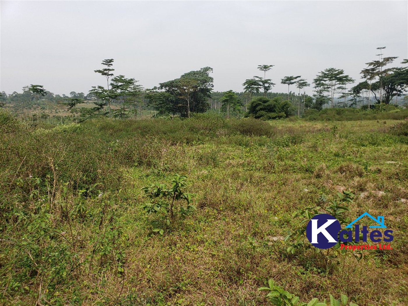Agricultural Land for sale in Najumba Buyikwe