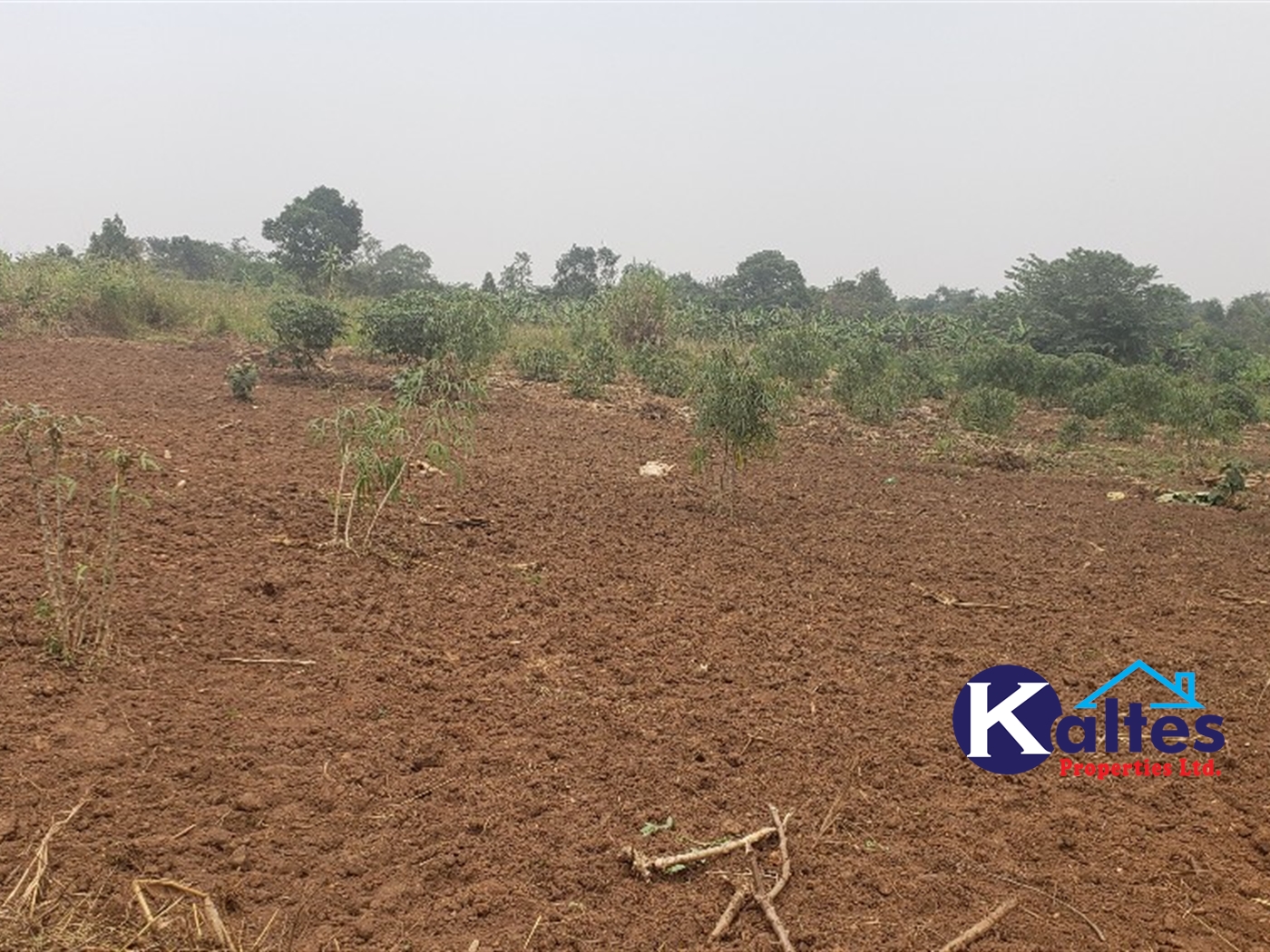 Agricultural Land for sale in Namusa Buyikwe