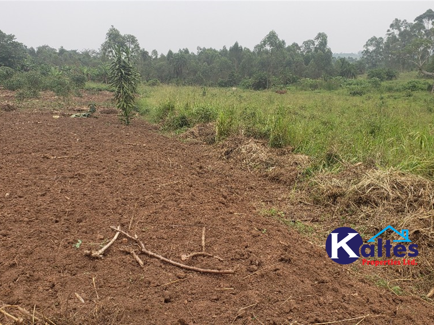 Agricultural Land for sale in Namusa Buyikwe