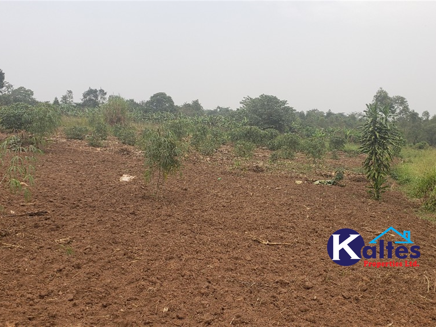 Agricultural Land for sale in Namusa Buyikwe