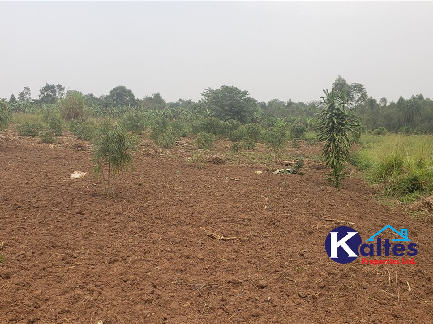 Agricultural Land for sale in Namusa Buyikwe