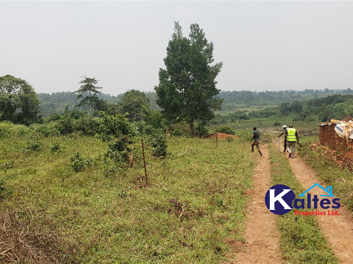 Agricultural Land for sale in Matale Buyikwe