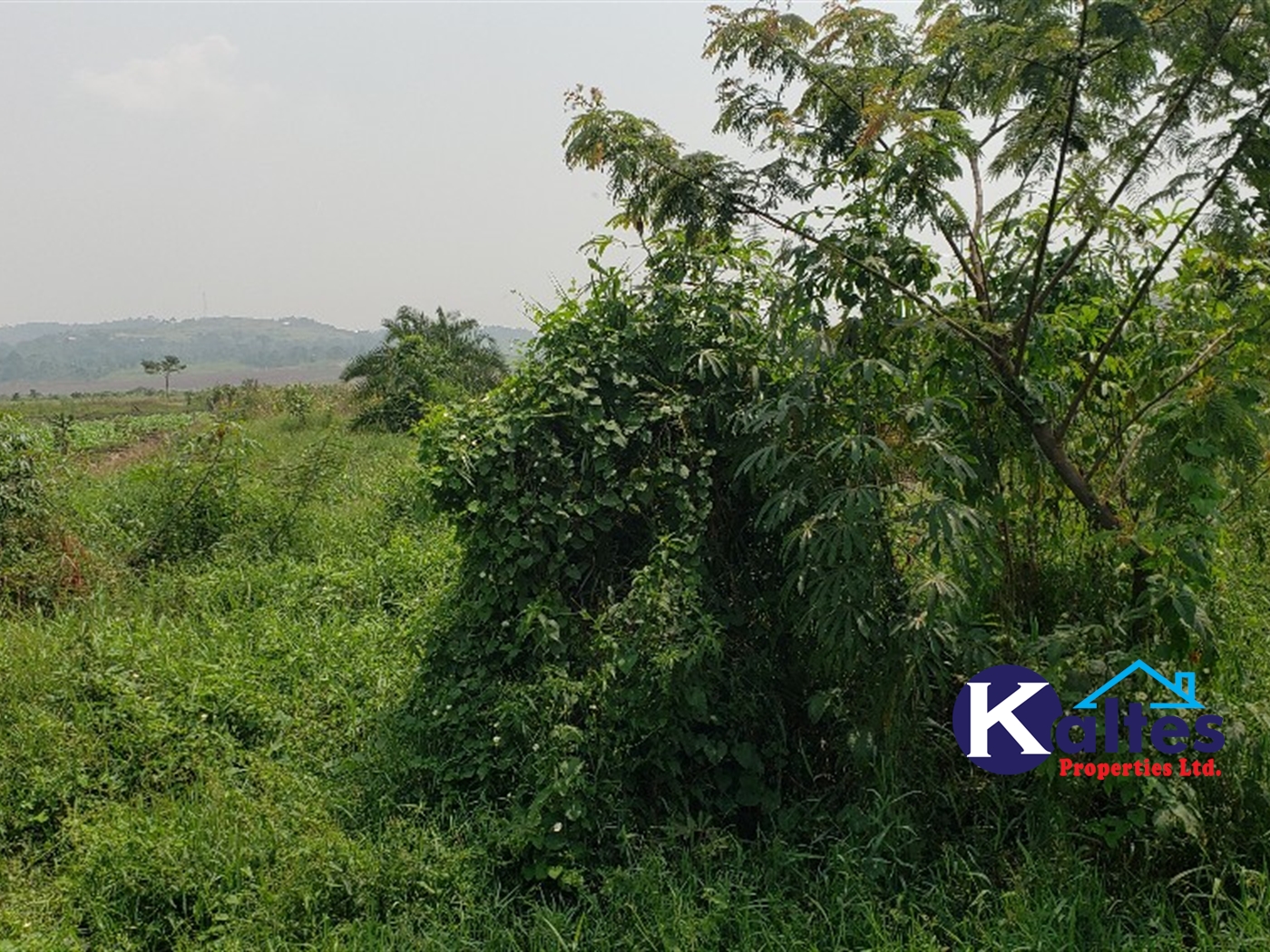 Agricultural Land for sale in Matale Buyikwe