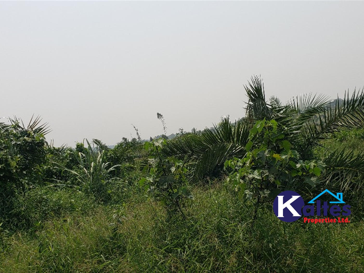 Agricultural Land for sale in Matale Buyikwe