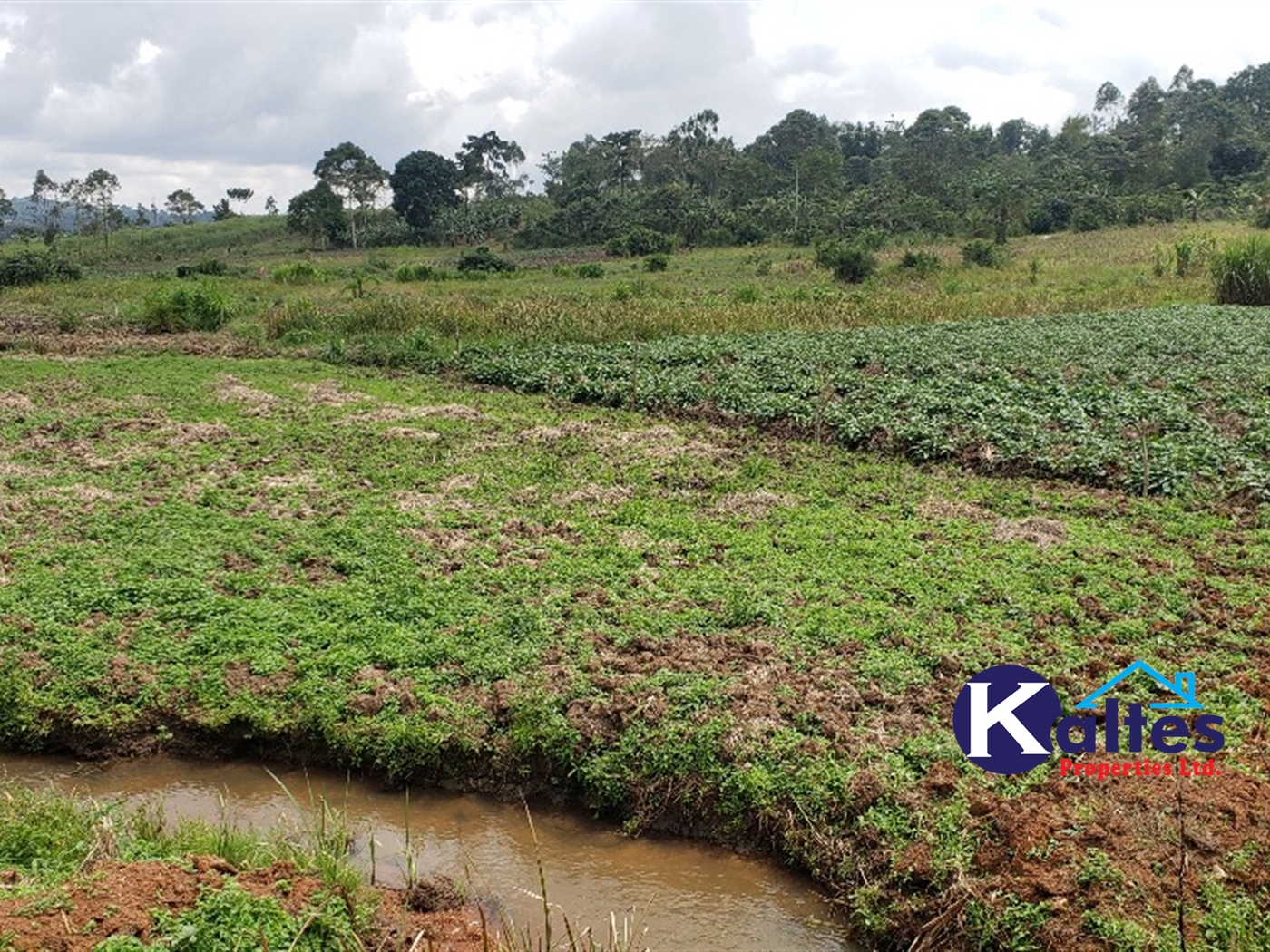 Agricultural Land for sale in Maseke Buyikwe