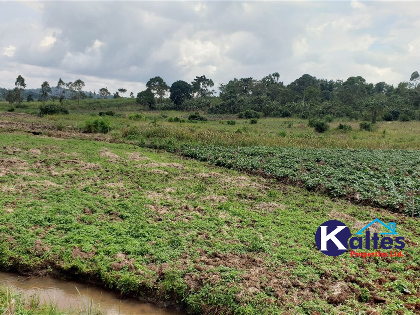 Agricultural Land for sale in Maseke Buyikwe