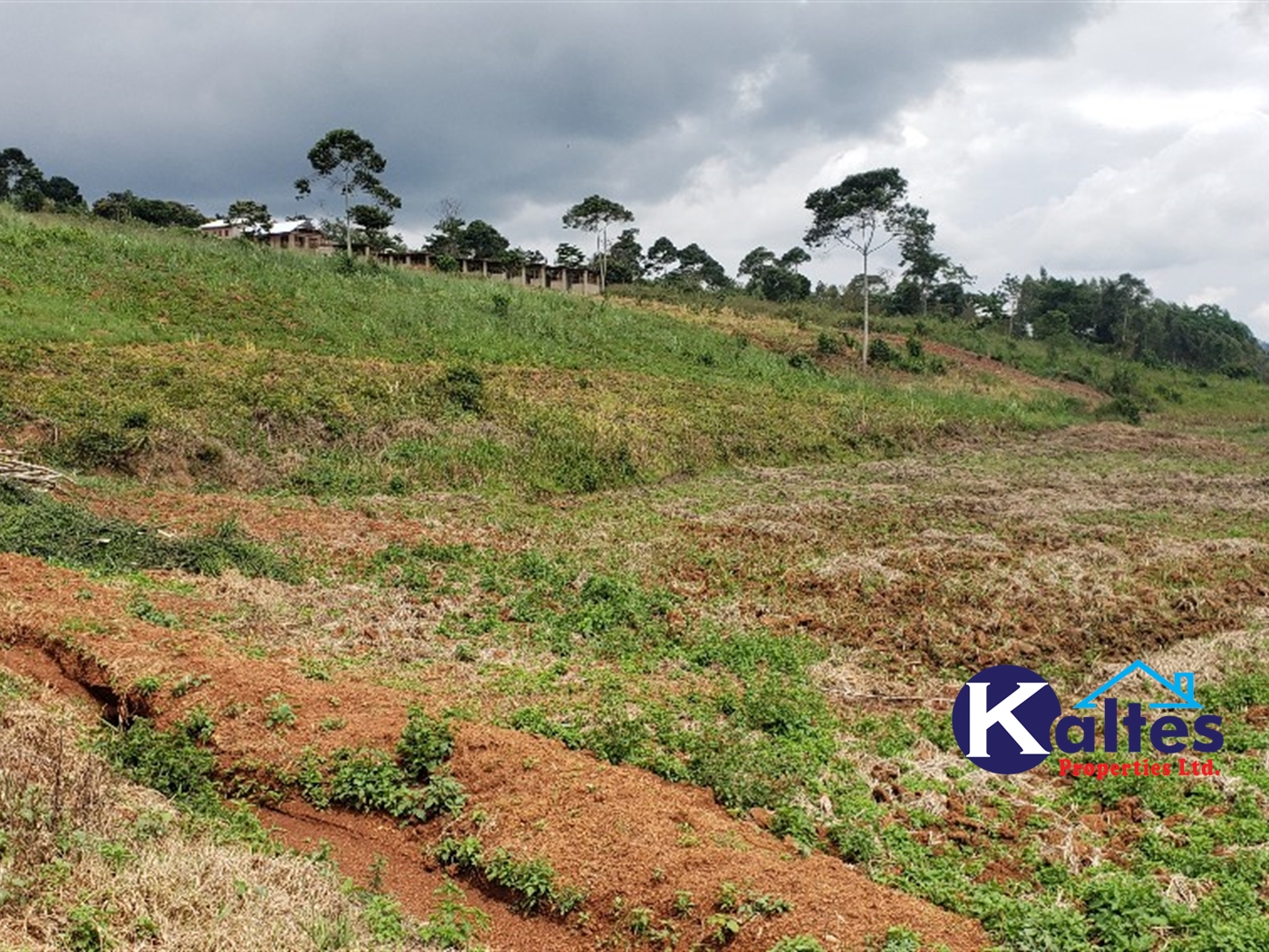 Agricultural Land for sale in Maseke Buyikwe